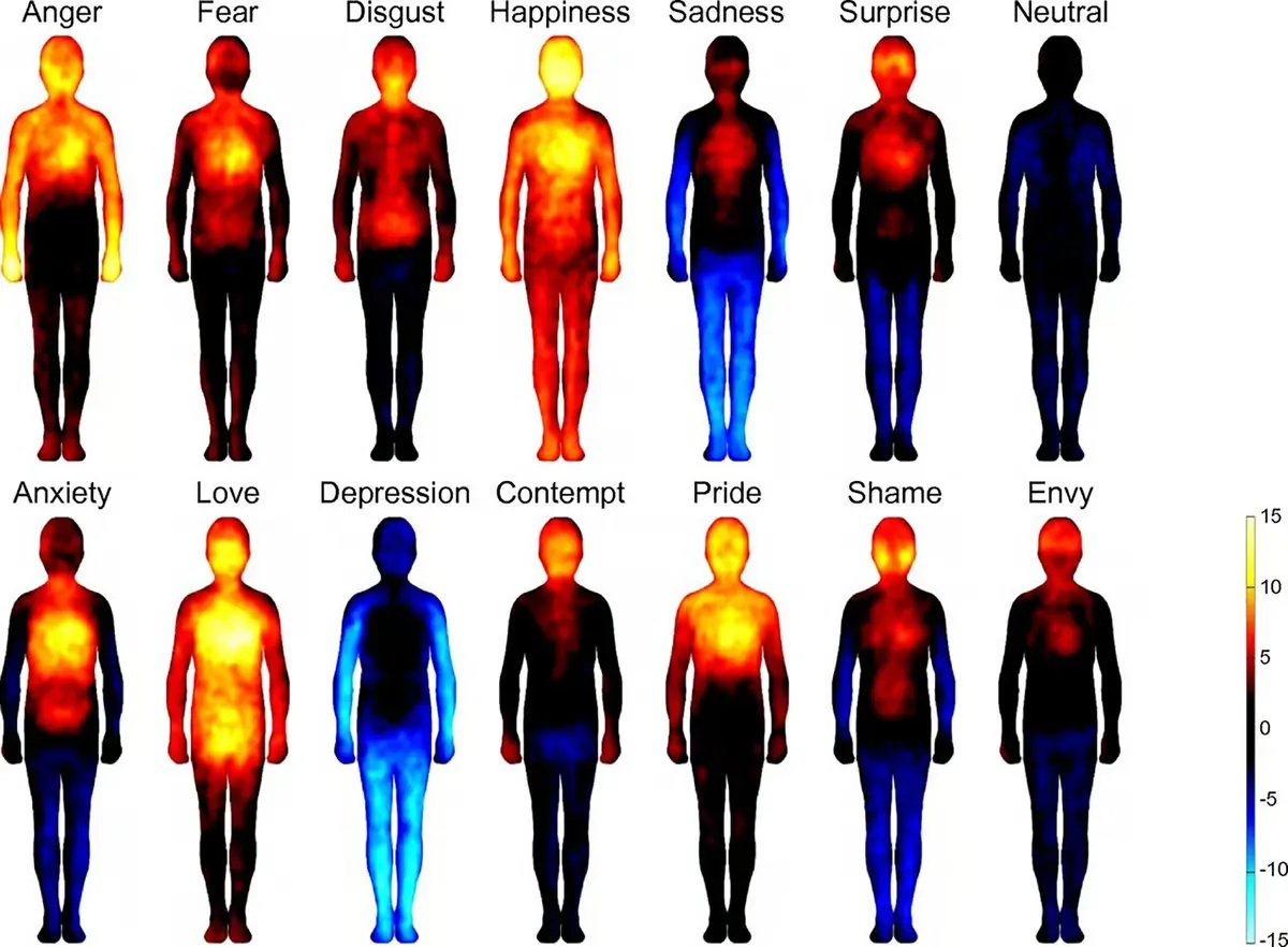where in the body do emotions live?